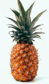 PIÑA